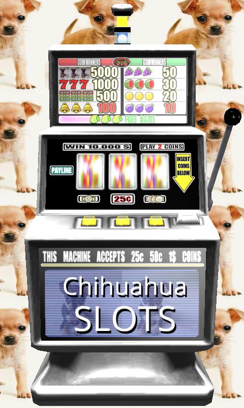 3D Chihuahua Slots - Free