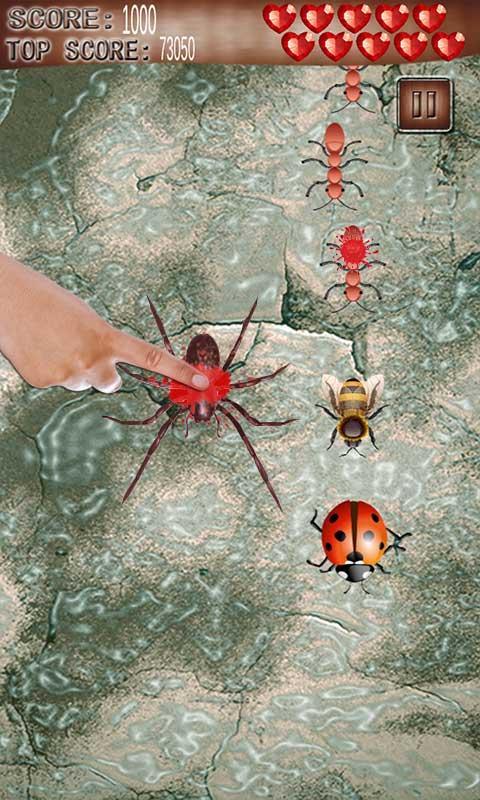 Ant and Bug kill Welt