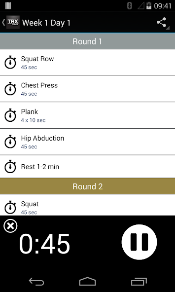 TRX FORCE