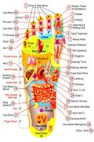 Books Reflexology