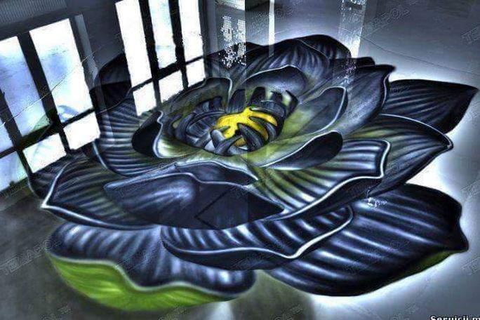 3D chromed floor