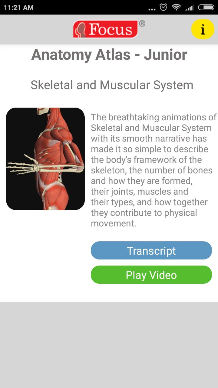 Anatomy Atlas