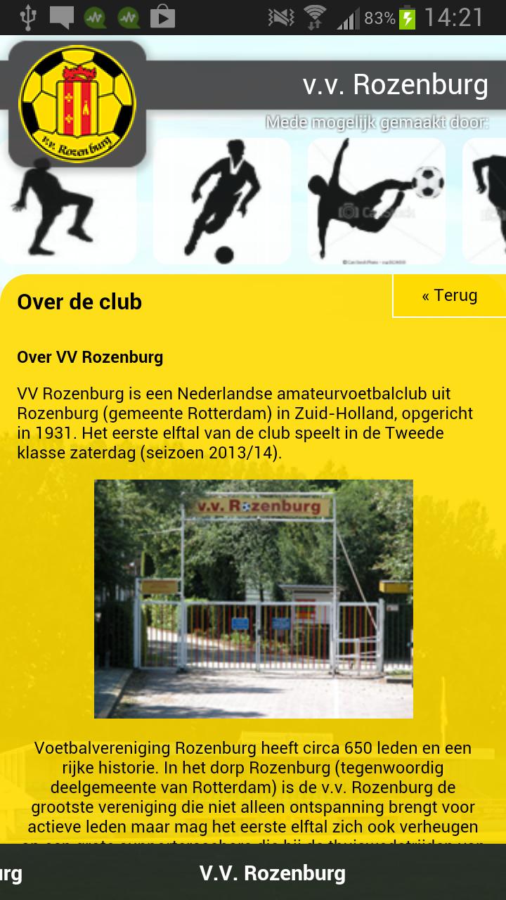 V.V. Rozenburg