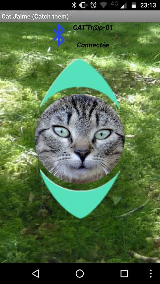 CatJM