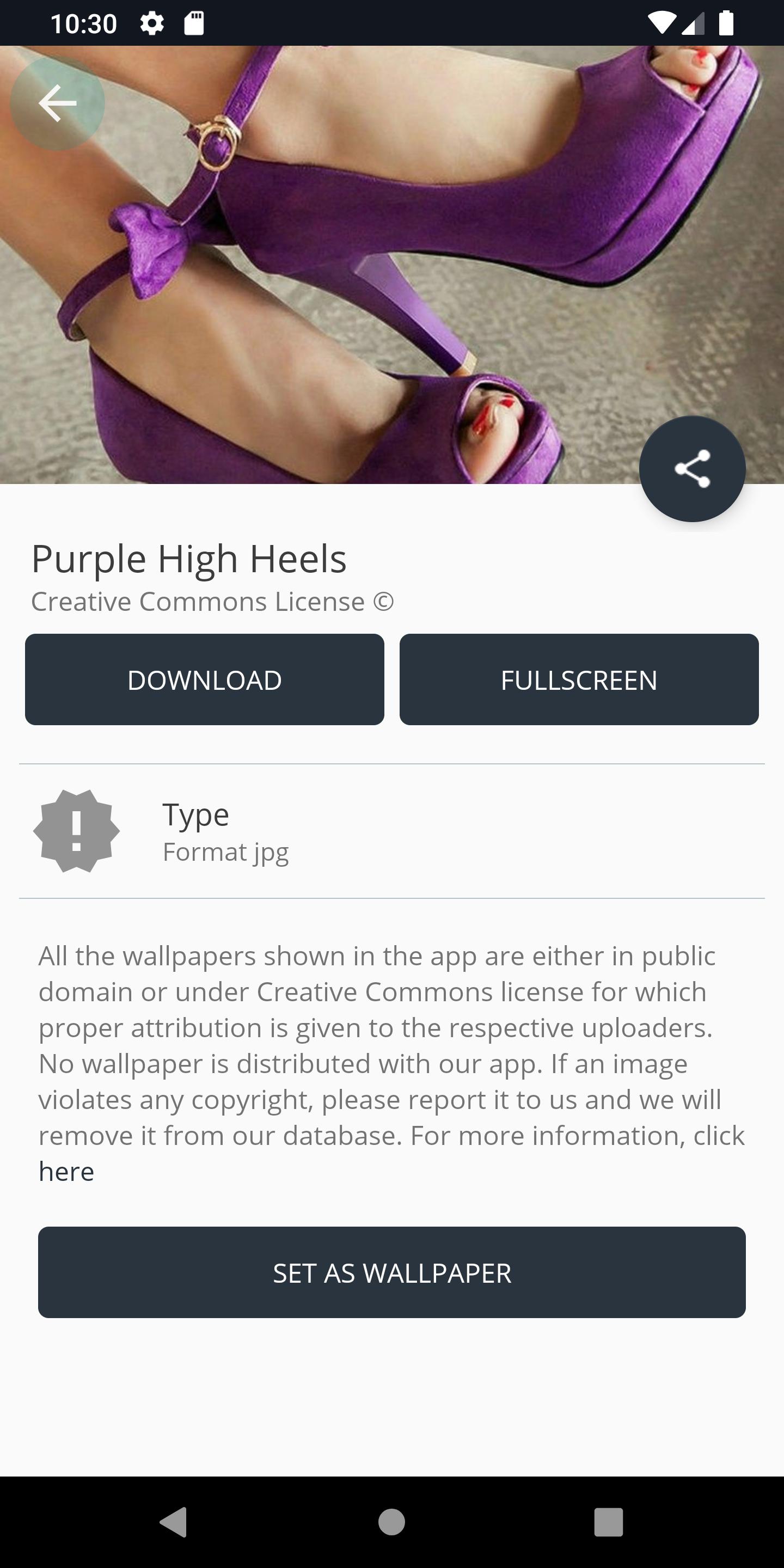 Purple High Heels