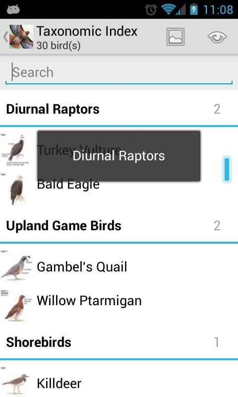Sibley Birds - Lite