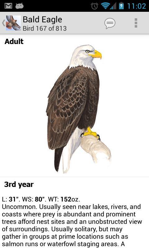 Sibley Birds - Lite