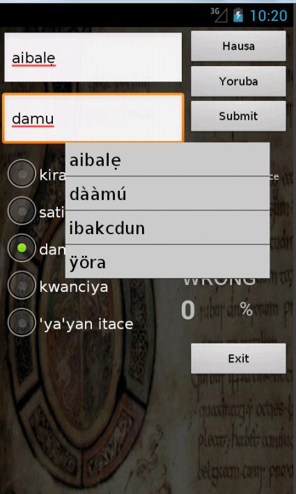 Yoruba Hausa Dictionary