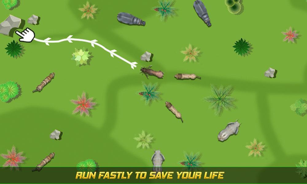Save the Deer