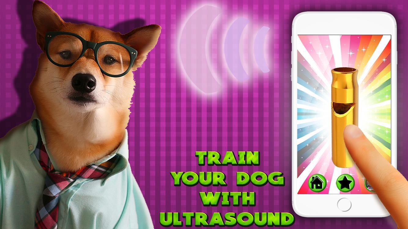 Dog Whistle ultrasonic