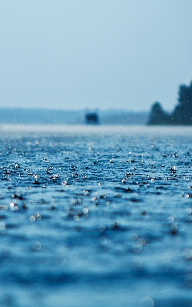 Rain Live Wallpaper