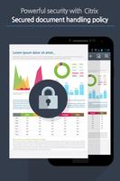 Polaris Office for Citrix