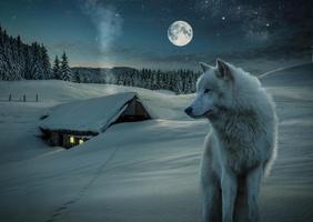 wolves wallpapers