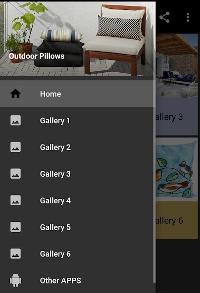 Outdoor Pillows