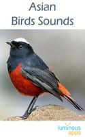 Asian Birds Sounds Free