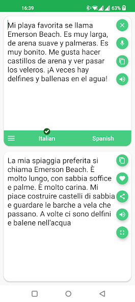 Italian - French Translator