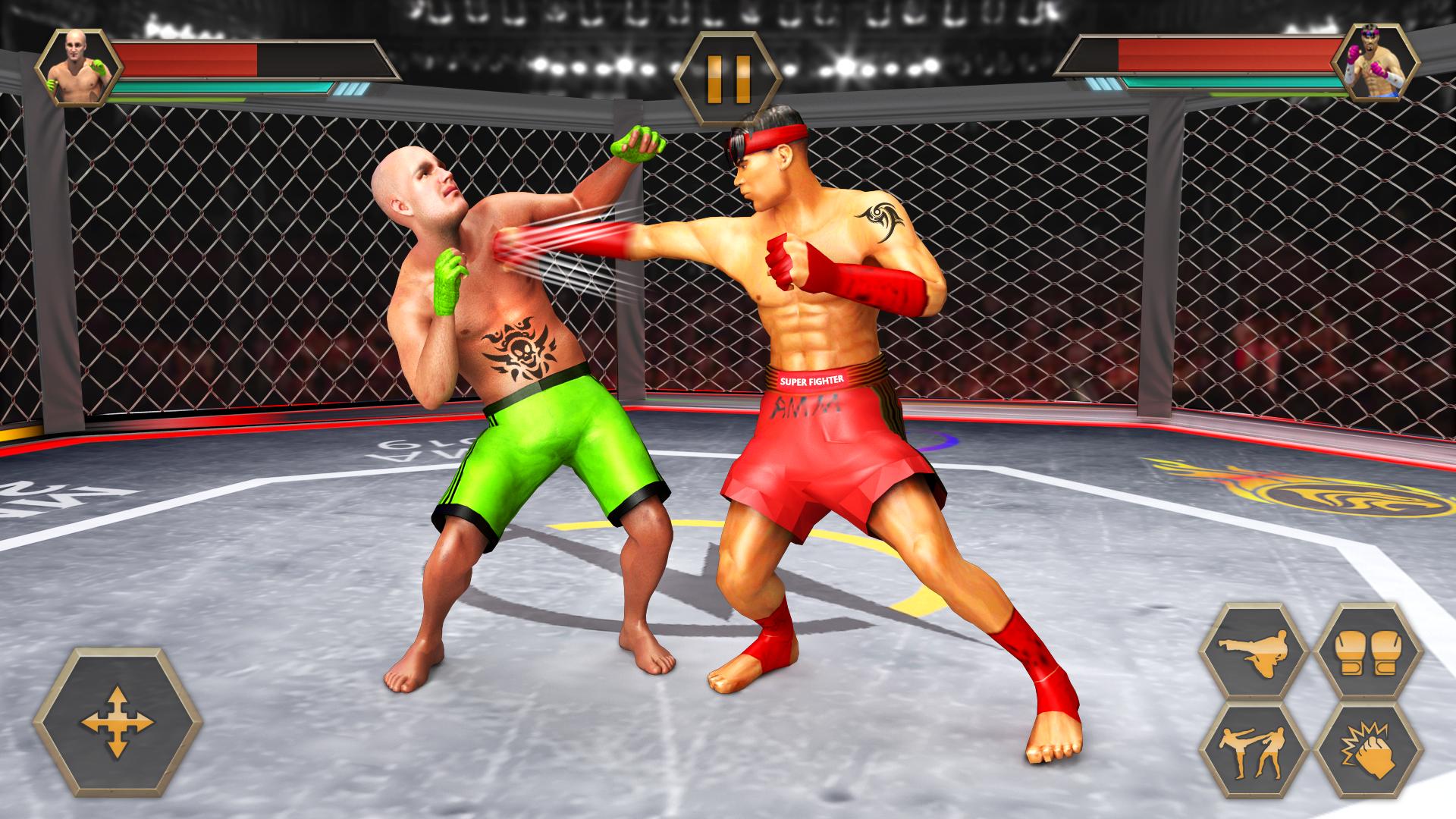 Karate Fighting Kung Fu Fighter Tiger MMA Fighting