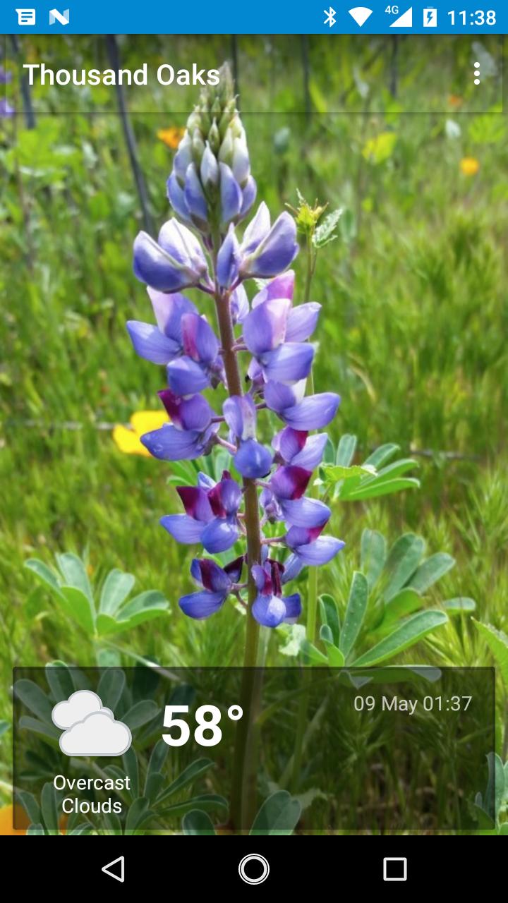 Thousand Oaks, CA - weather and more