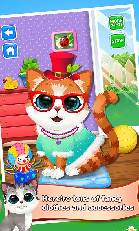 Kitty Spa: Bubble Wash Salon