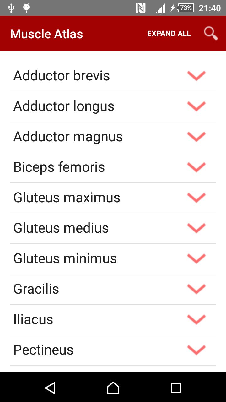 Anatomy: Atlas of Muscles
