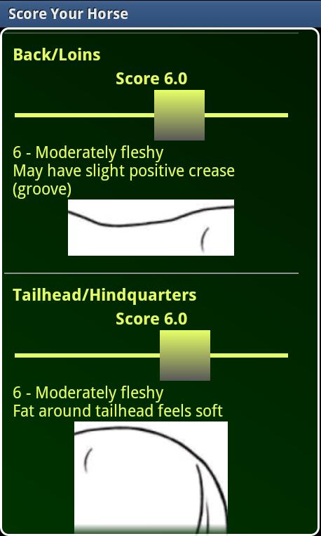 Horse Body Condition Scoring