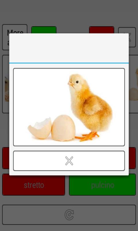 Learn Romanian words