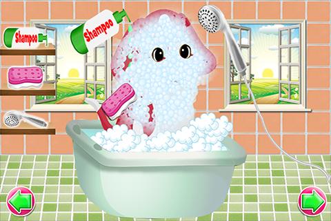 Puppy Wash & Dress Up