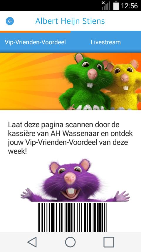 Albert Heijn - Stiens