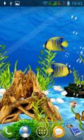 Aquarium live