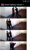 Street Fighting: Volume 1