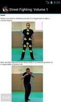 Street Fighting: Volume 1