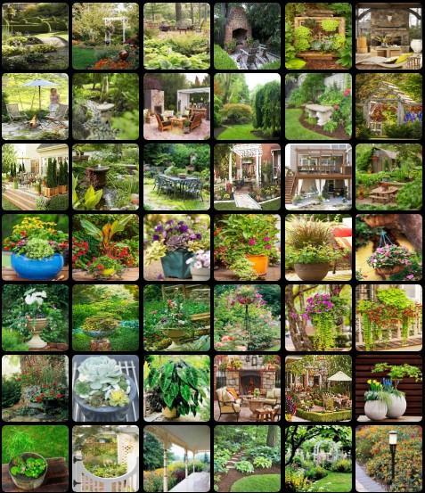 Backyard Garden Design