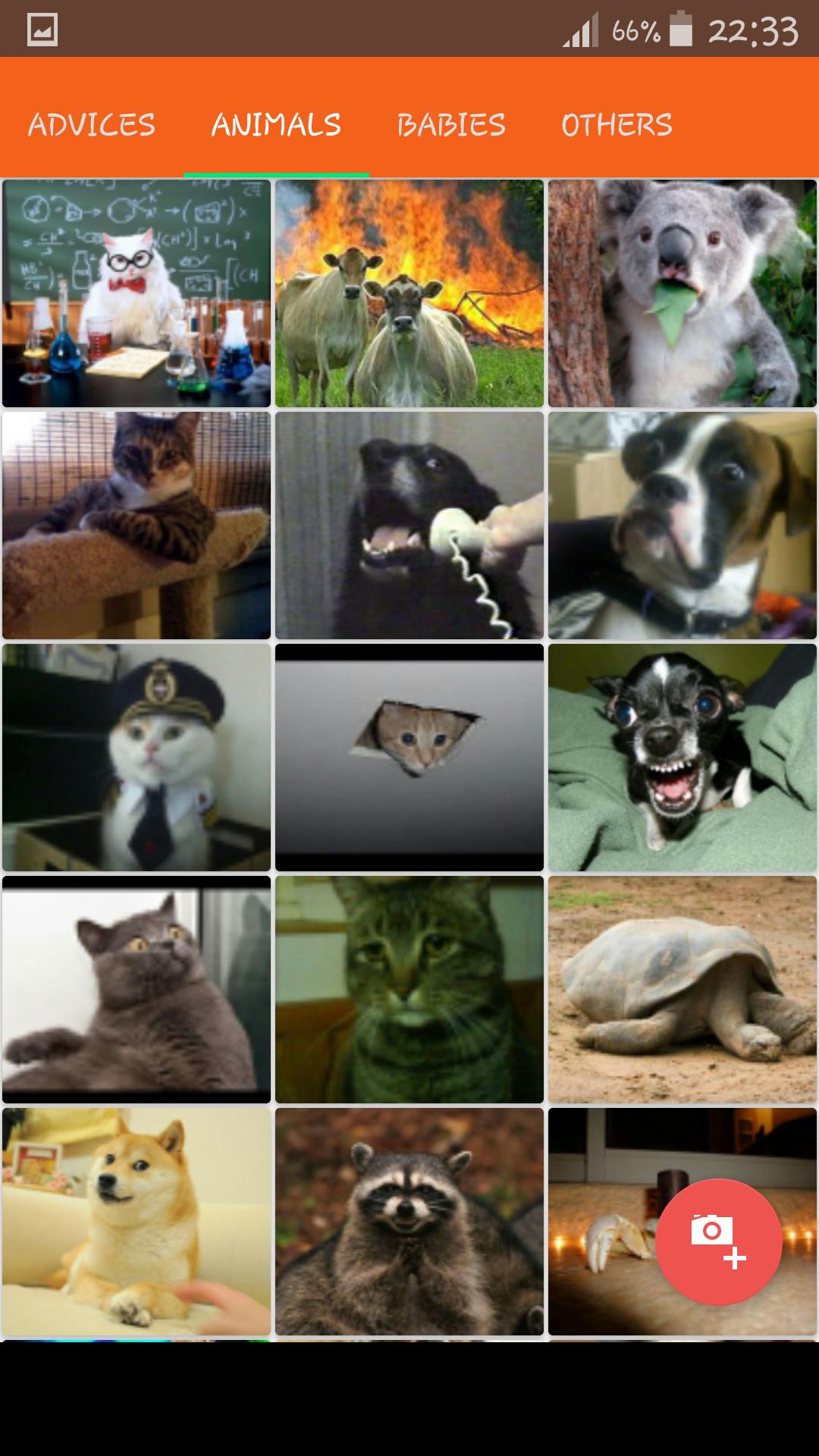 Halloween Meme Generator