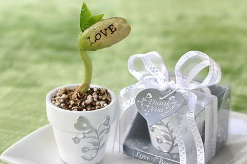 Wedding Favor Ideas