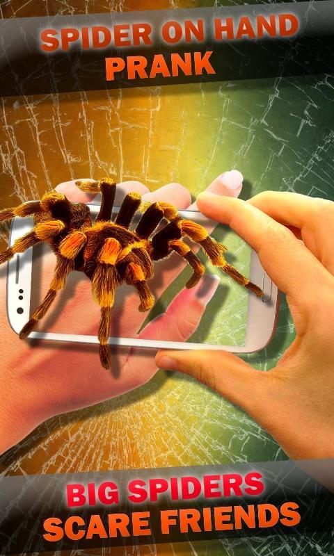 Spider on Hand. Camera Prank