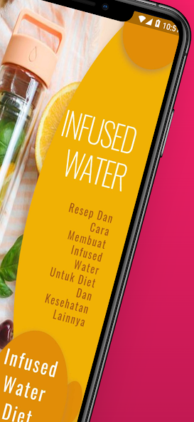Resep Infused Water Untuk Diet