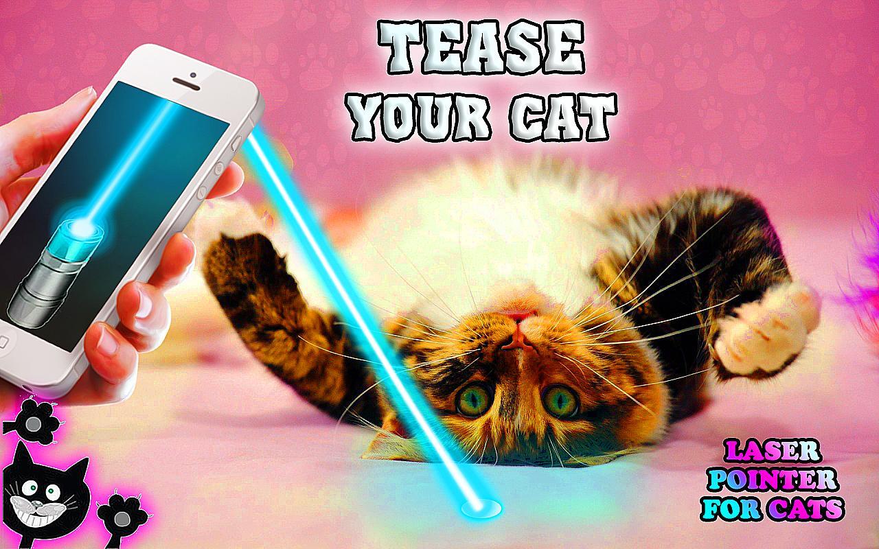 Laser pointer for cats