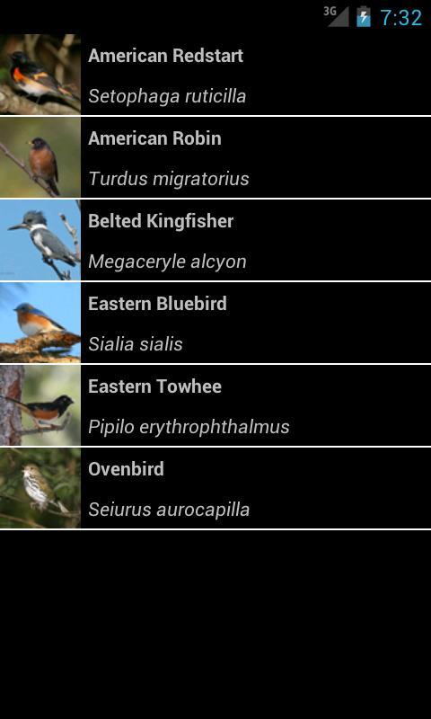 Nature Viewing in Florida