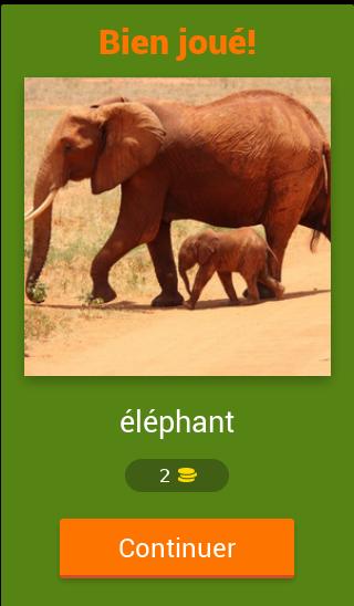 Quiz sur les animaux