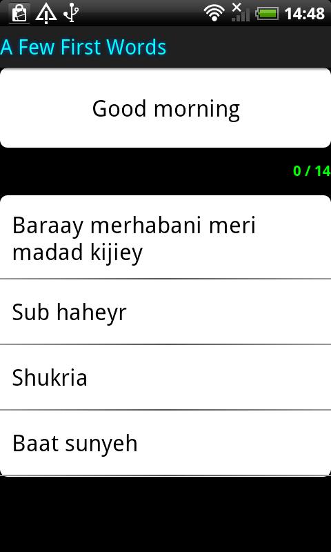 Surface Languages Urdu