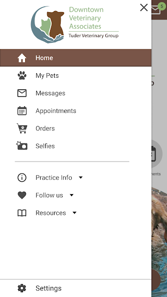 Downtown Veterinary Assoc