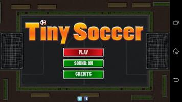 Tiny Soccer