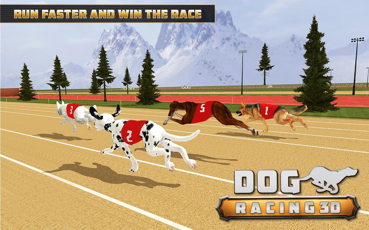 Dog Racing  3D Run  Animal  Doggy Race: pet Racing