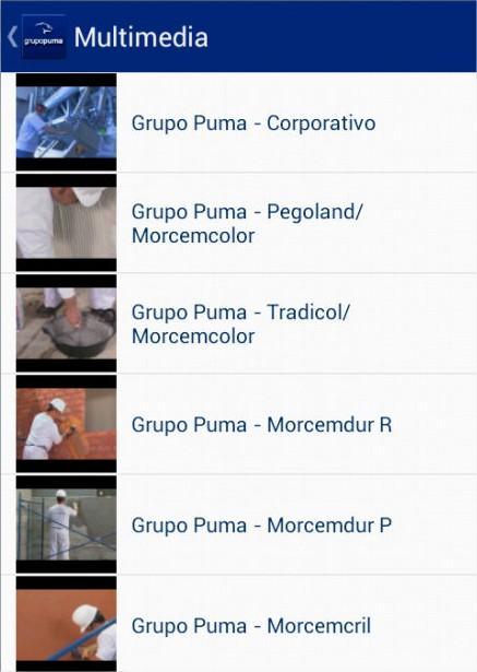 Grupo Puma