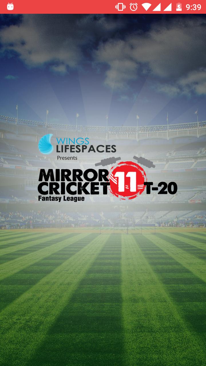 Mirror Cricket 11