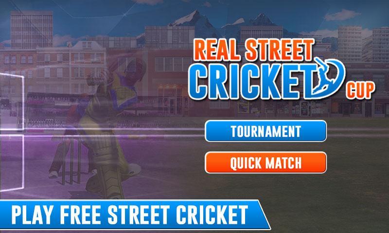 Real Street Cricket Cup 2017