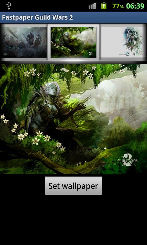 Fastpaper Guild Wars 2 HD
