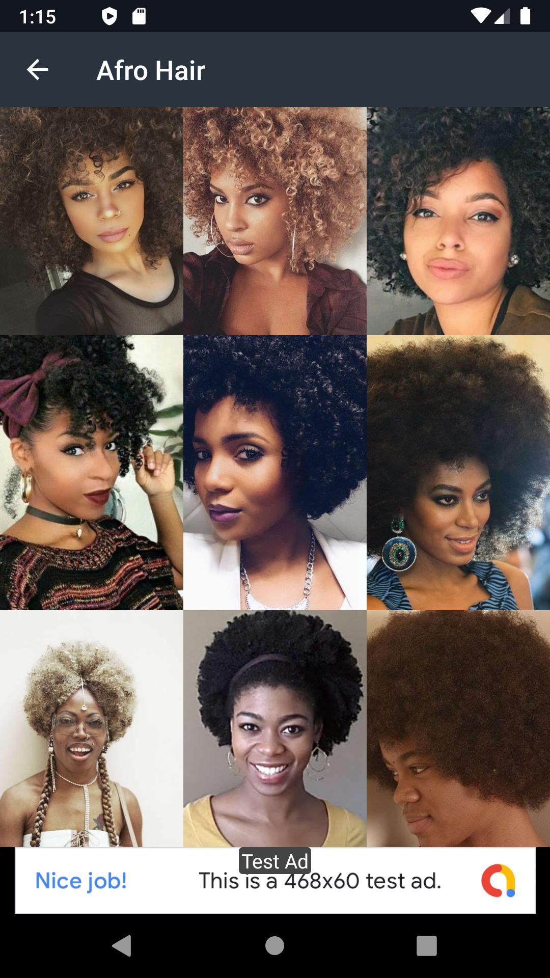 Afro Hair Ideas