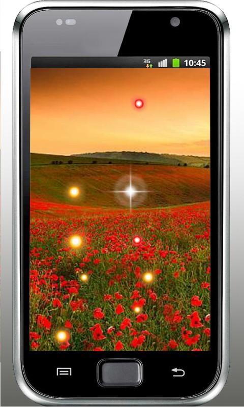 Poppy Fields HD LWP