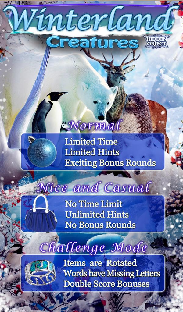 Hidden Object - Winterland